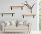 Unveiling the Best Wall Mounted Cat Fixtures of the Year: Crafting a Feline Utopia