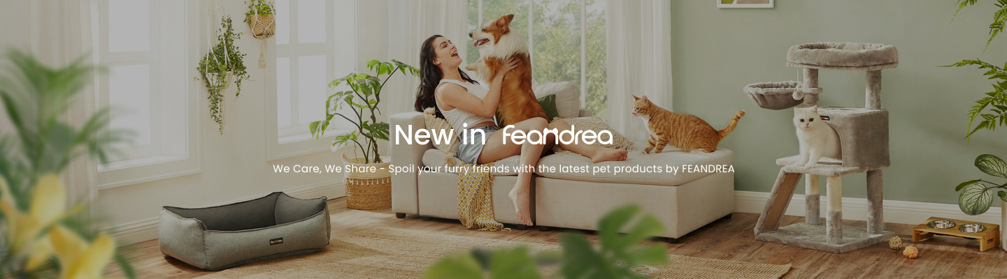 New in Feandrea